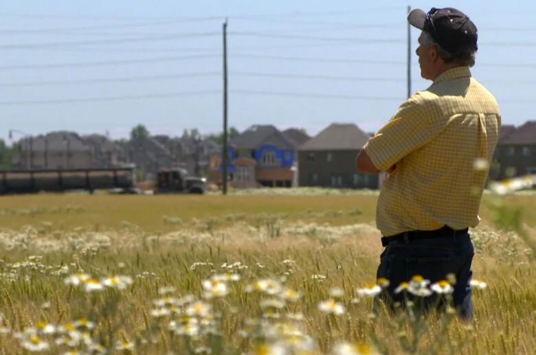 A farmer looks out a golden field.