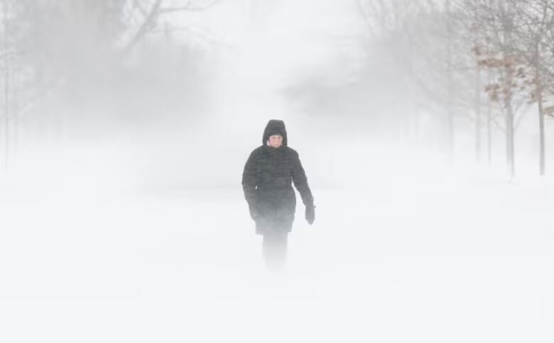 A woman trudges through the snow on a blustery winter day.