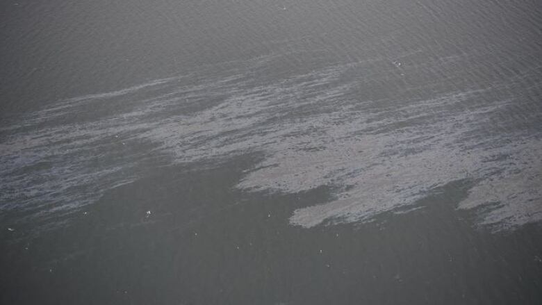 A visible sheen is seen on seawater.