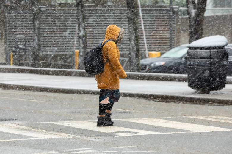 A pedestrian crosses Wellington Street West at Simcoe Street on Jan. 25, 2023.