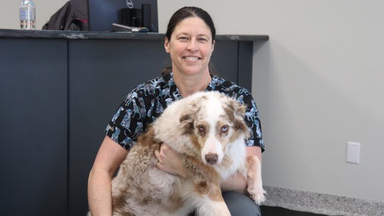 A veterinarian holds a brown and white dog inside a clinic