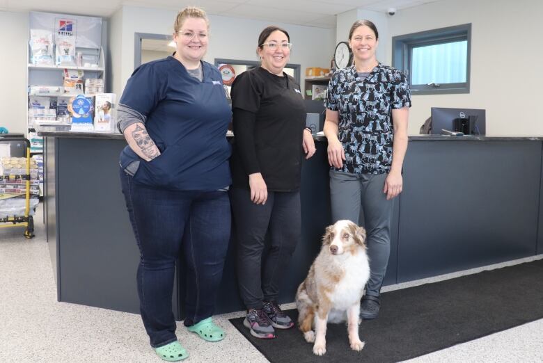 Three woman and a brown and white dog stand in front of the reception desk area