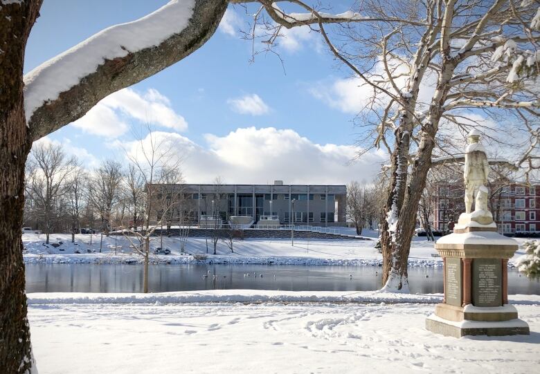 A two-storey building is seen through trees in the distance on the other side of a pond in winter.