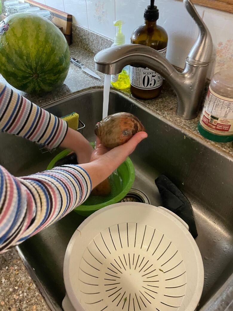 Grace Poland washes a vegetable they found in a dumpster under the tap of a kitchen sink.