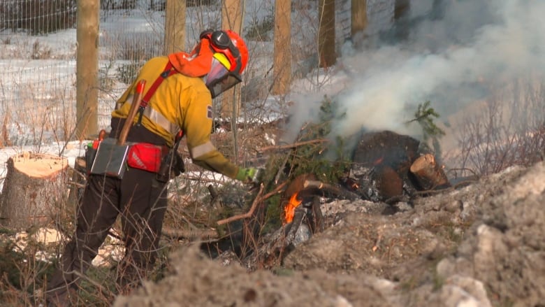 Banff Field Unit fire and vegetation crew.