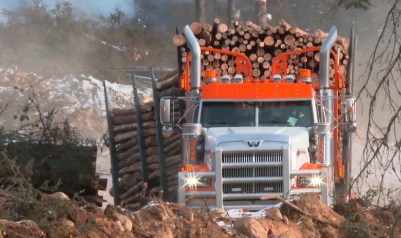 Truck hauling lumber from Protection Mountain fire guard. 