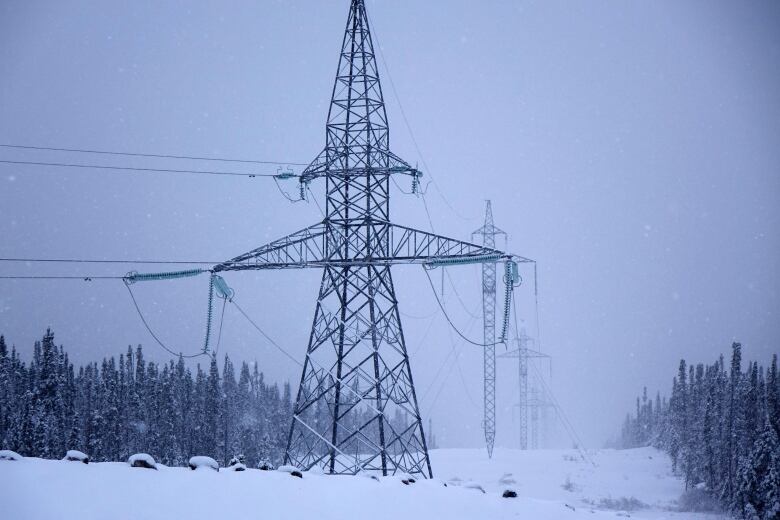 Electricity poles in winter.