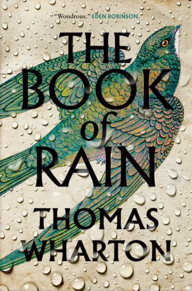 A book cover featuring an illustration of a green bird under rain drops.