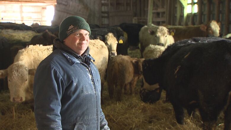 Dennis Hogan in his beef cattle barn.