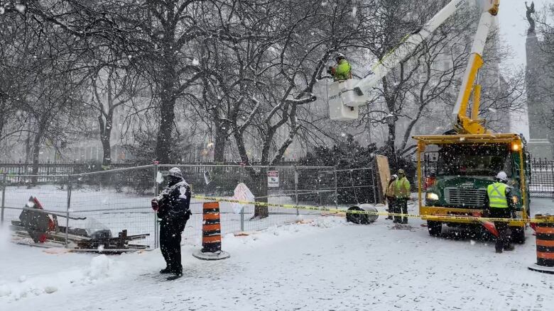 The removal of centuries-old trees on Osgoode Hall property begins on Saturday morning.