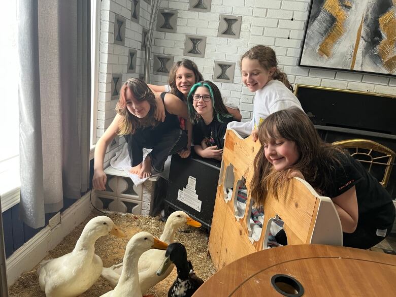 Four children look inside an indoor coop where four ducks lie. 