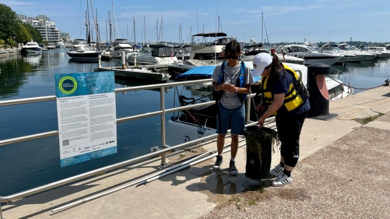 Researchers look into a floating water trash device on a dock.