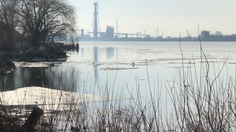 The Detroit River is nearly ice free due to a mild winter.