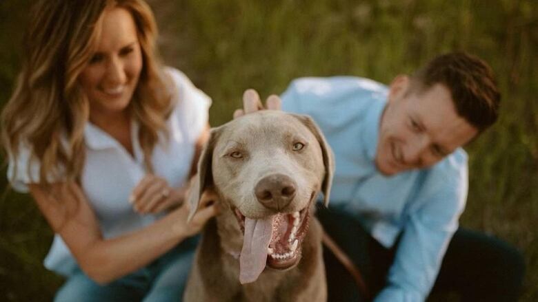 a couple sits with their dog. he has silver fur and his tongue is sticking out 