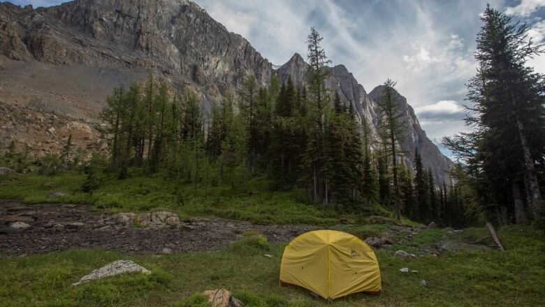 A tent with a bright yellow fly (or rain cover) in the foreground is dwarfed by towering, rocky peaks in the background and flanked by dark-green coniferous trees.