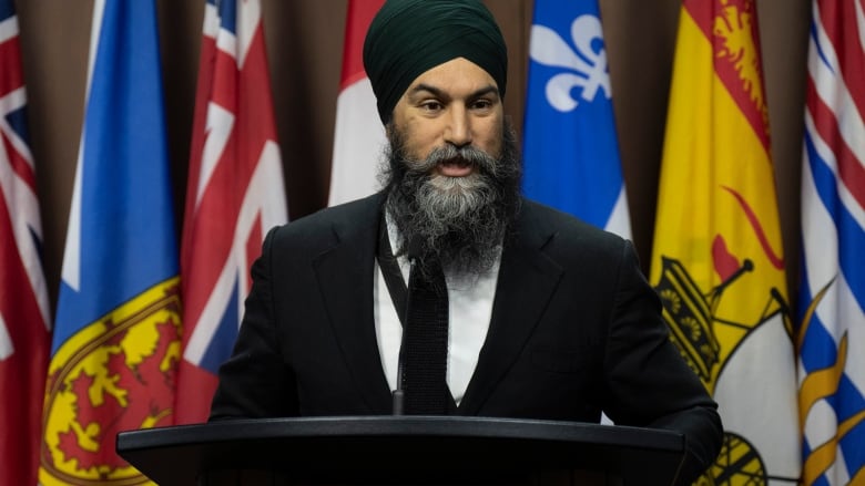 NDP Leader Jagmeet Singh speaks with reporters on Parliament Hill.