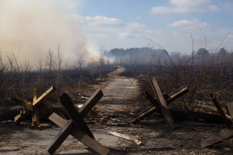 A forest fire is seen from behind anti-tank barricades.