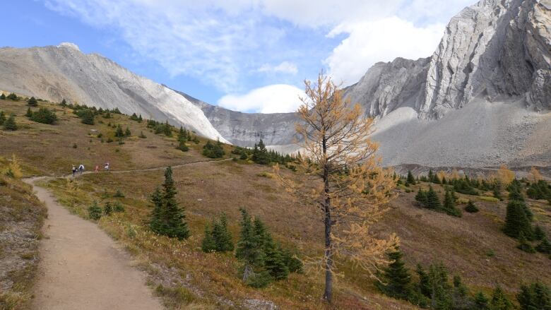 Ptarmigan Cirque is in the Highwood Region of Kanananskis. 