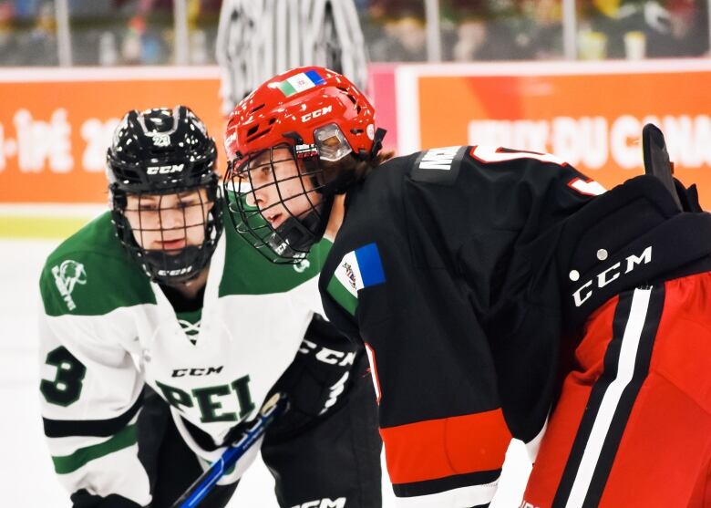 Two hockey players, one dressed in green and white, the other wearing red and black, look down at the ice below them