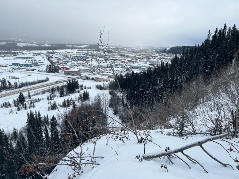 A view looking down on a small city from a forested slope in winter.