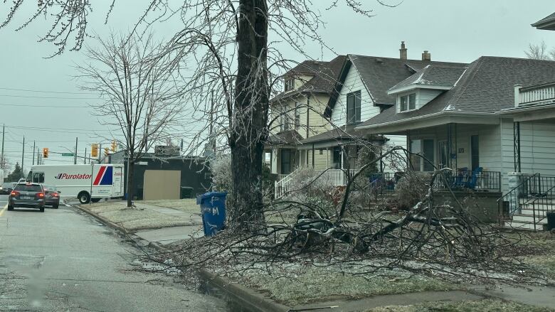 A large tree branch lays on the ground in front of a house, having obviously crashed to the ground during Thursday's ice storm.