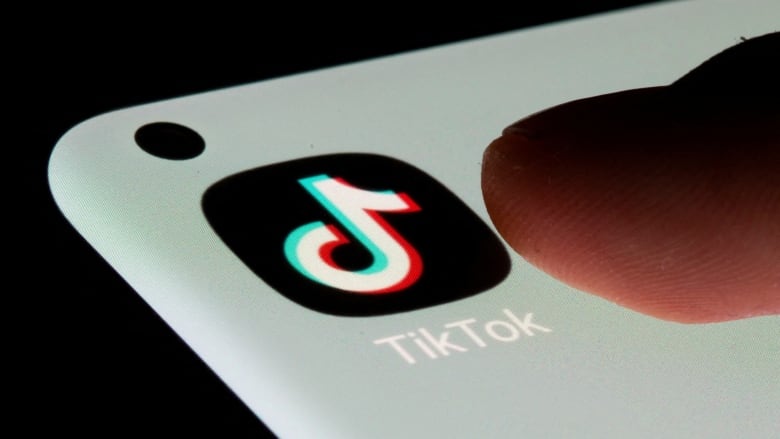 A TikTok logo is seen in an illustrative photo image, taken in July 2021.