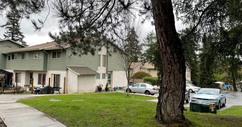 The exterior of attached homes, with a tree in the foreground.