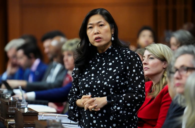 Minister of International Trade, Export Promotion, Small Business and Economic Development Mary Ng responds to question in the House of Commons.