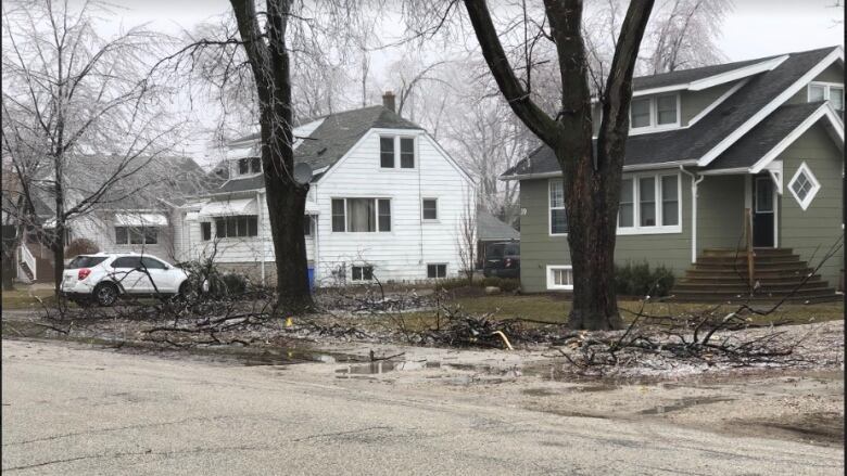 Downed branches litter lawns in a Windsor neighbourhood. 