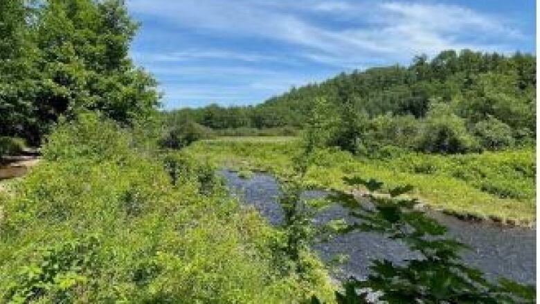 Idyllic country scene with a river flowing through a green valley.