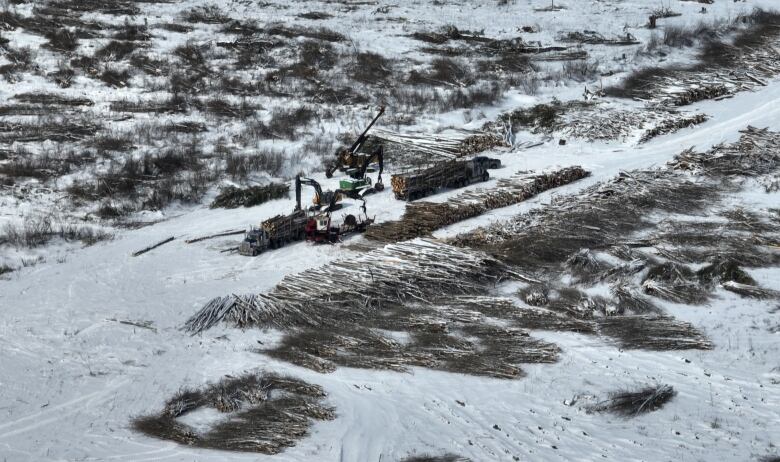 An aerial photo of logs being lifted by heavy machinery onto big rigs for transport. Piles of hundreds of felled trees lie in the foreground.