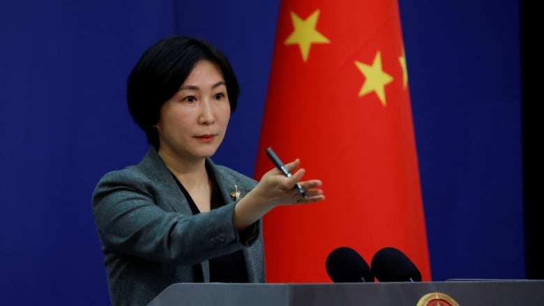 A woman is shown gesturing at a podium, with a national flag behind her.