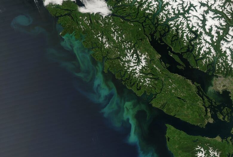 Green swirls are shown against a deep blue ocean from an aerial view, along the green coastline of Vancouver island.