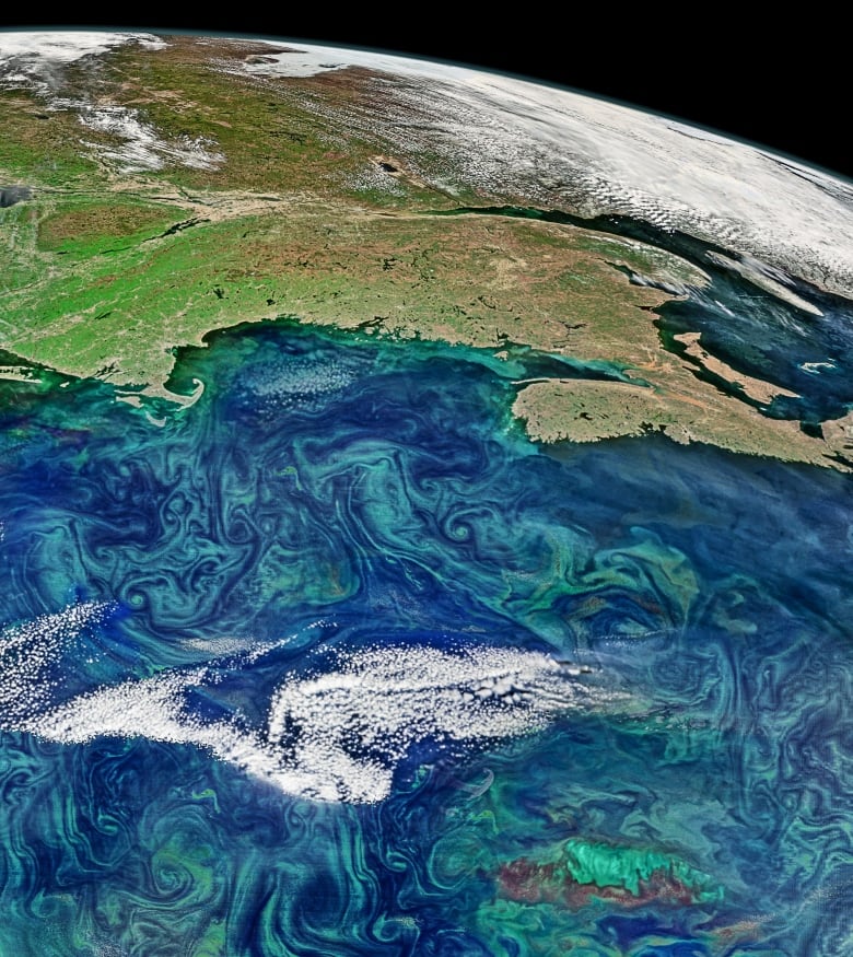 Swirls of green and turquoise are seen in a zoomed out view of a segment of the ocean. White clouds and a green landscape are seen in the distance.