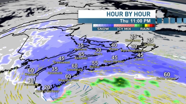 A map of Nova Scotia with the snow forecast.