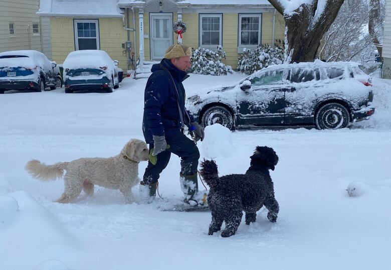 A pedestrian snowshoes down a street accompanied by two dogs.