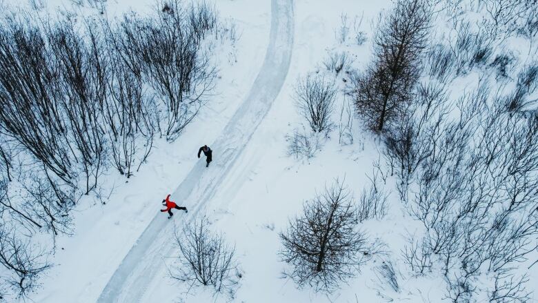 Top-down photo of two skaters going through Eco-Odysse Nature Park. Thin trees are on the left and right of the two skaters.