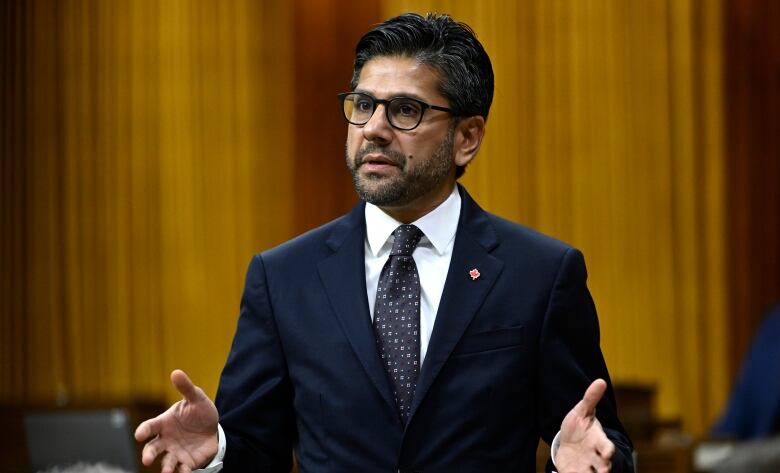 Yasir Naqvi in the House of Commons