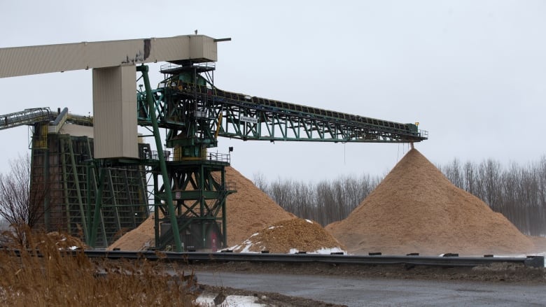 Two large piles of woodchips are shown beneath an industrial elevator.