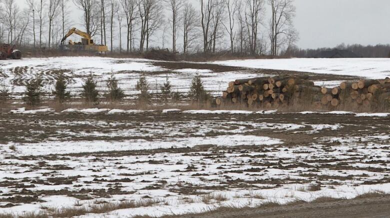 A forestry harvester clears trees from land recently annexed into St. Thomas from the Municipality of Central Elgin.