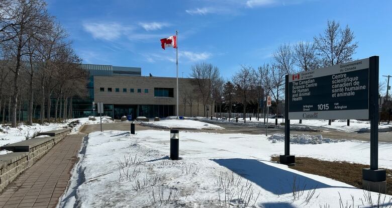 A building in the distance with snow in the foreground. A Canadian flag flies in the middle of the photo on a flagpole.