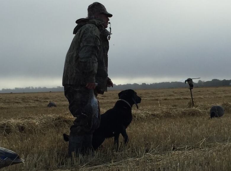 A man in hunting gear walks through a field with a dog.