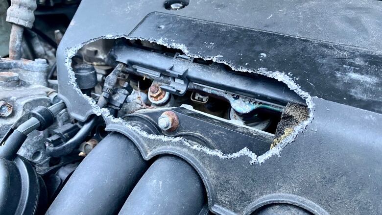 Anna Chamberlain snapped this photo after a rodent chewed through the engine cover of her car.