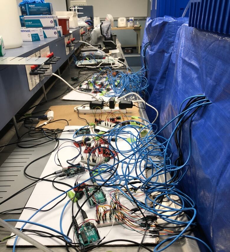 An large array of wires, laid out across a long desk, that runs into a blue tarp where the lobster tanks are presumably housed.