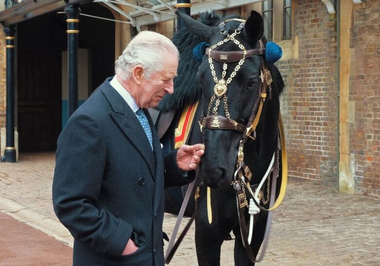 A person pets the nose of horse in front of stables.