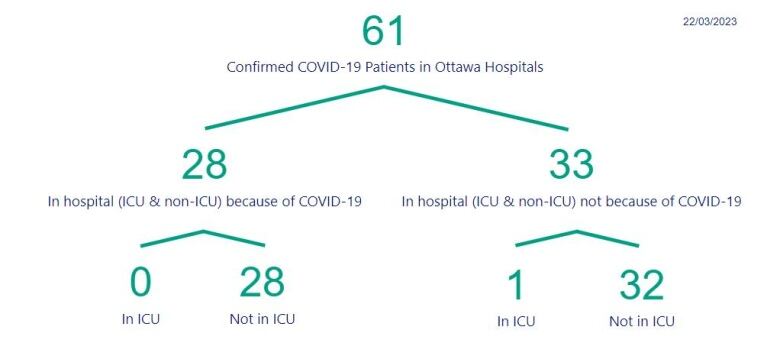 A chart showing the number of people in Ottawa hospitals with COVID.