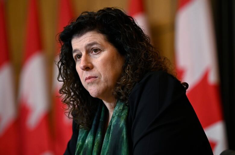 A woman sits in front of a row of Canadian flags.