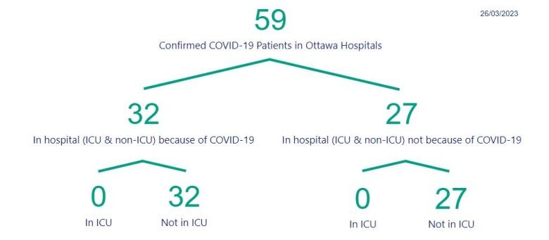 A chart showing the number of people in Ottawa hospitals with COVID.