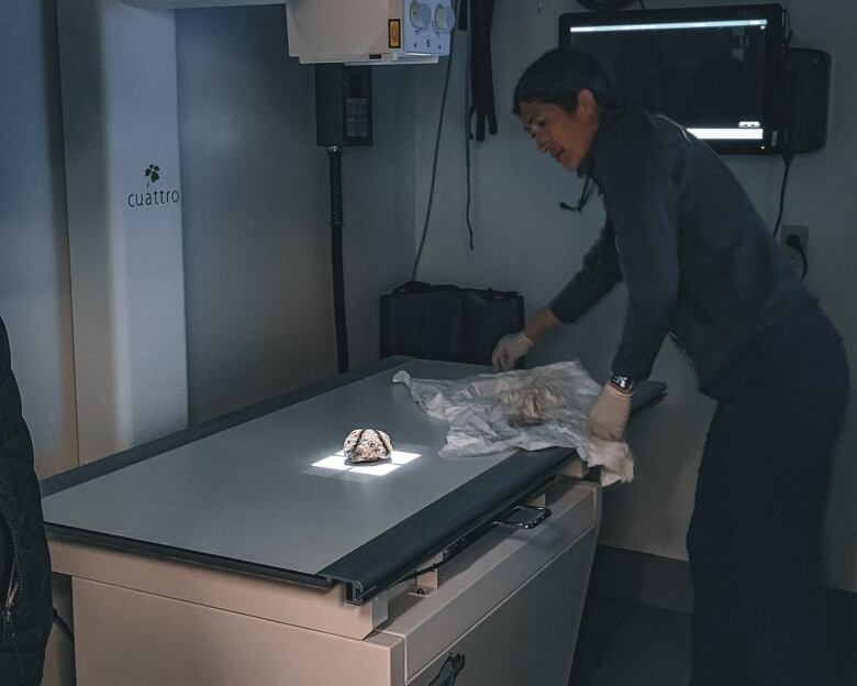 A woman stands near an X-ray table with a small object lying on the table.