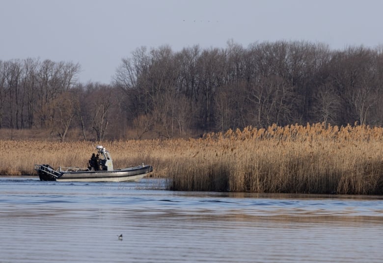 A police boat near a marsh in early spring.